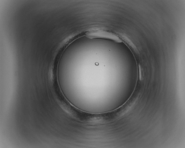 X0000110670252200906191351