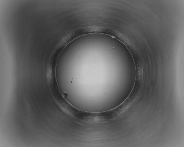 X0000110670254200906191351