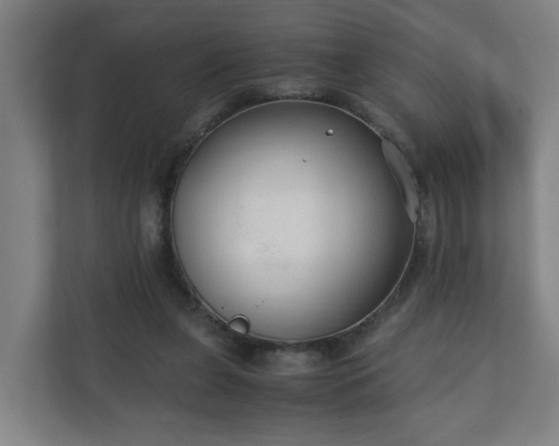 X0000110670255200906191351