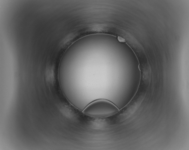 X0000110670256200906191351