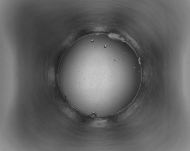 X0000110670257200906191351