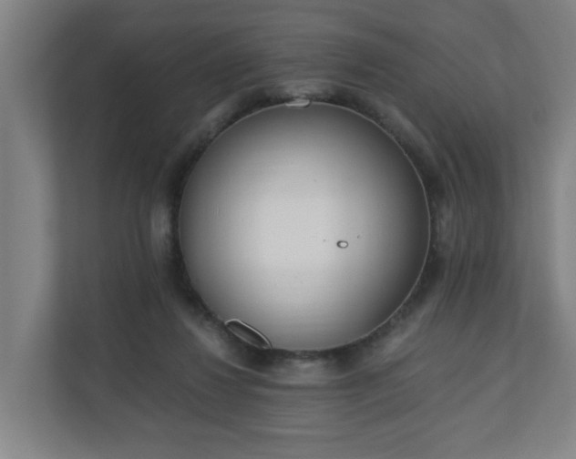 X0000110670260200906191351