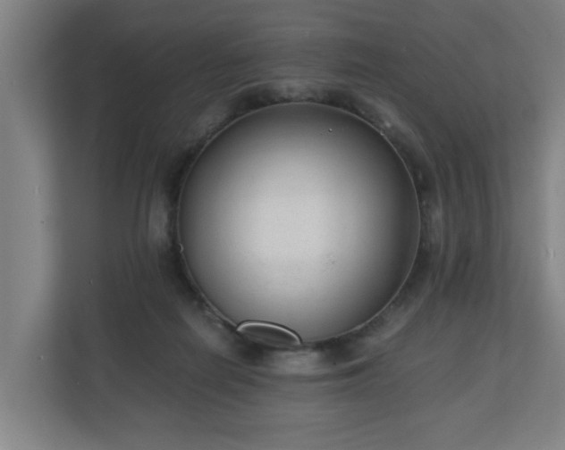 X0000110670266200906191351