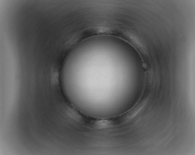 X0000110670269200906191351