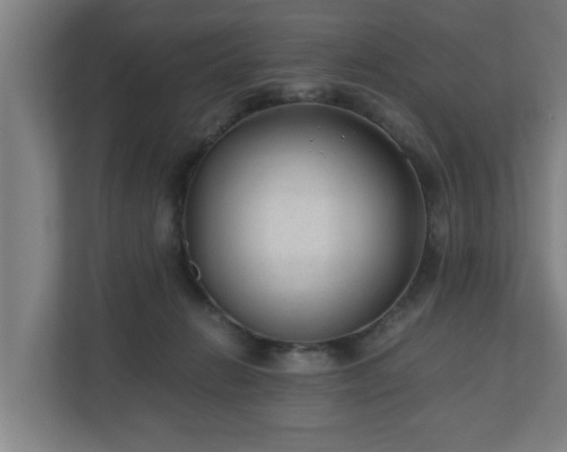 X0000110670270200906191351
