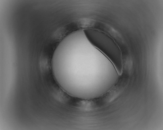 X0000110670272200906191351