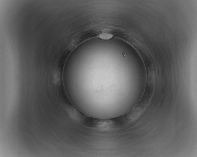 X0000110670274200906191351