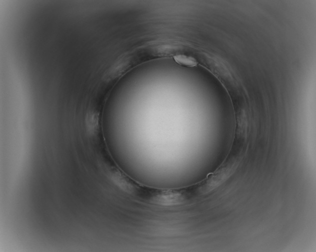 X0000110670278200906191351