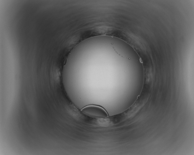 X0000110670279200906191351