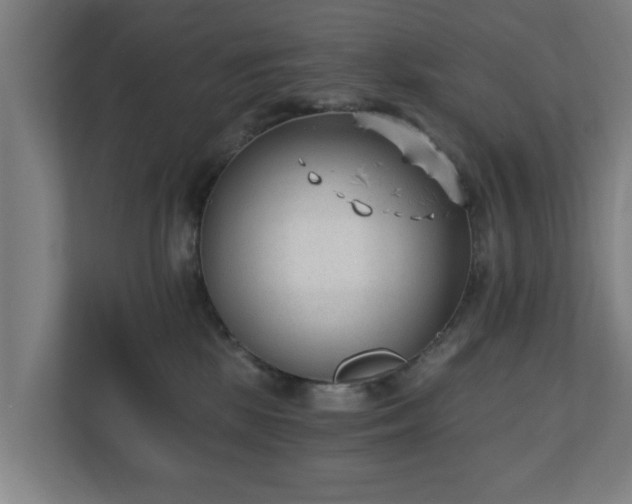 X0000110670281200906191351