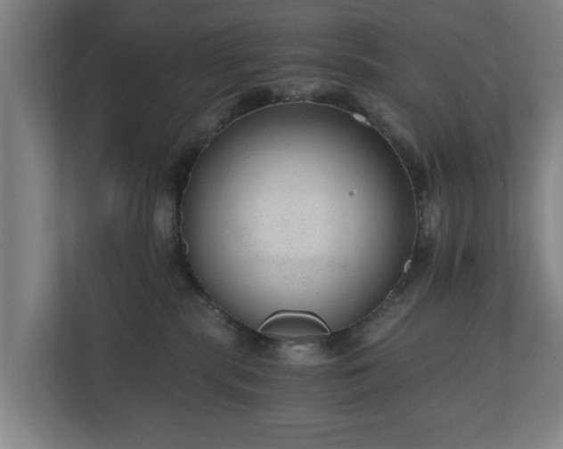 X0000110670283200906191351