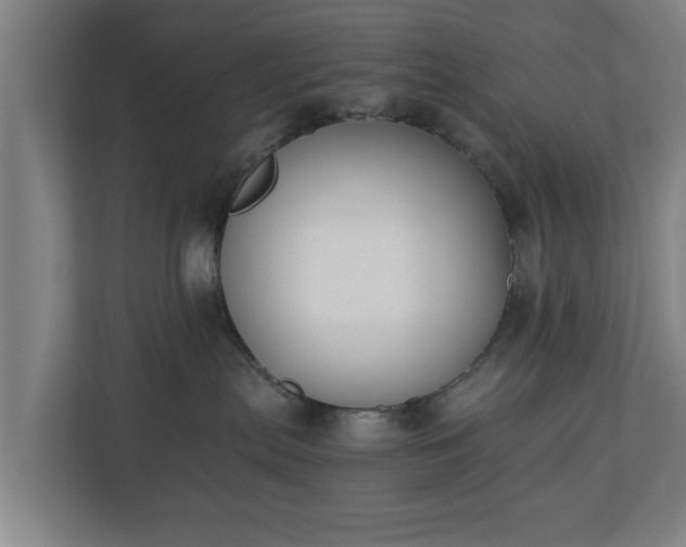X0000110670287200906191351