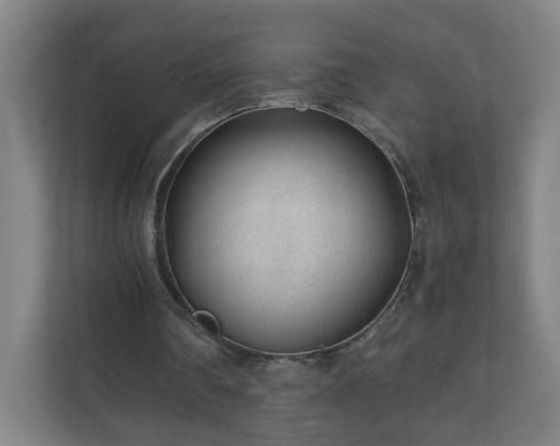 X0000110670290200906191350