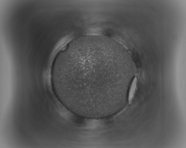 X0000110670293200906191350