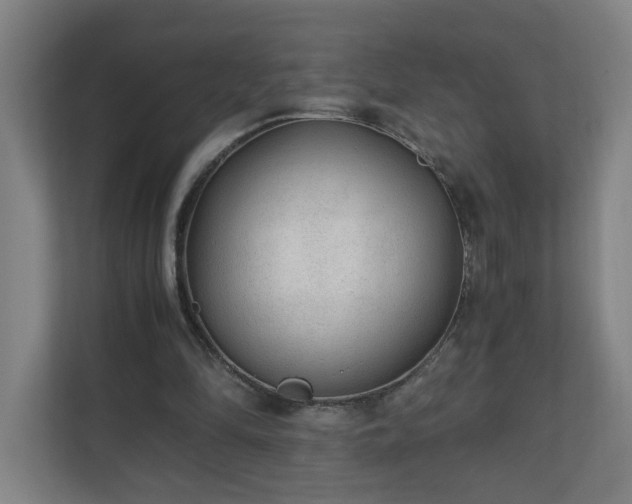 X0000110670294200906191350