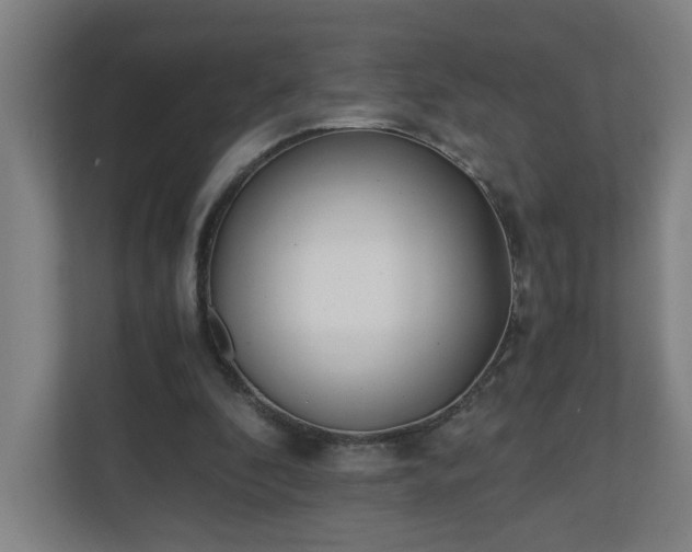 X0000110670296200906191350