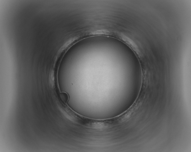X0000110670298200906191350