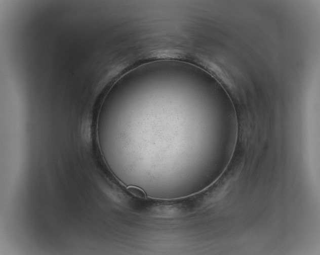 X0000110670299200906191350