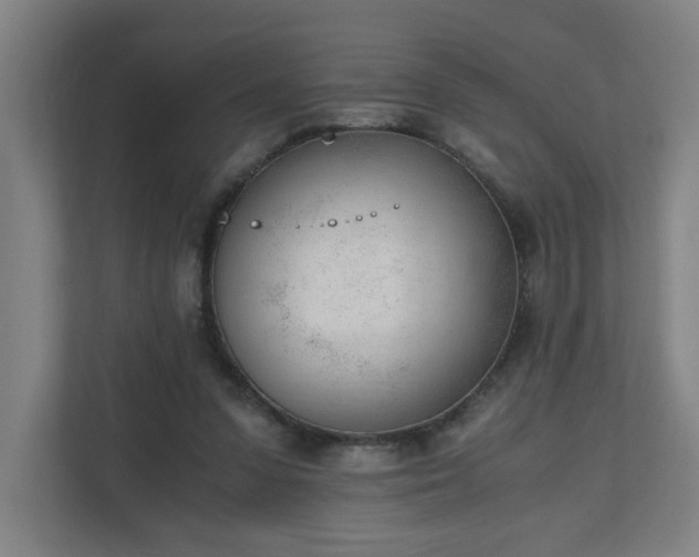 X0000110670303200906191350