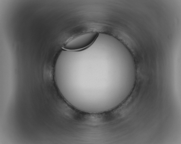 X0000110670305200906191350