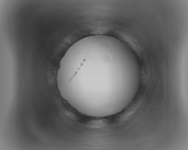 X0000110670307200906191350