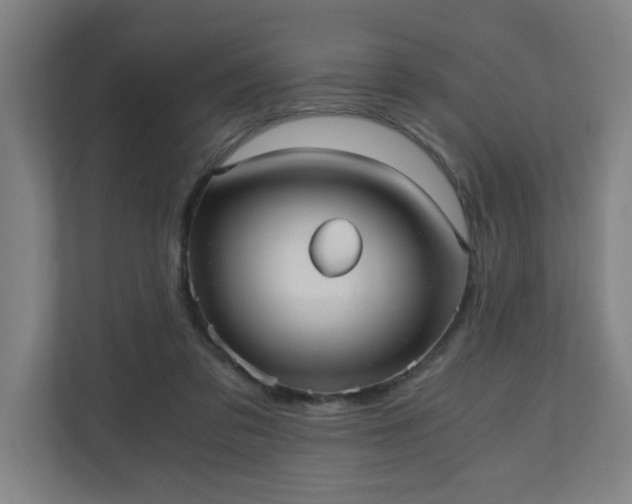 X0000110670309200906191350