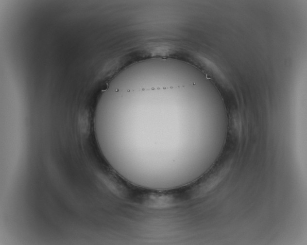 X0000110670311200906191350