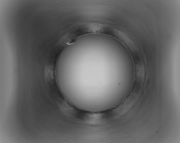 X0000110670313200906191350