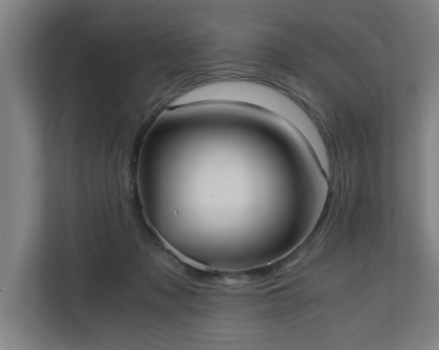 X0000110670317200906191350