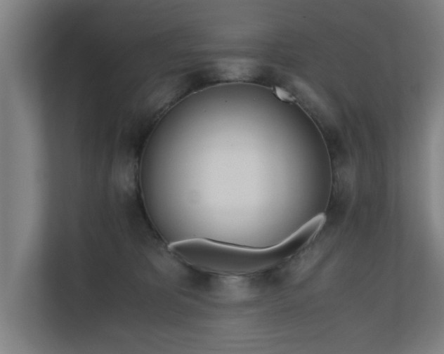 X0000110670325200906191350