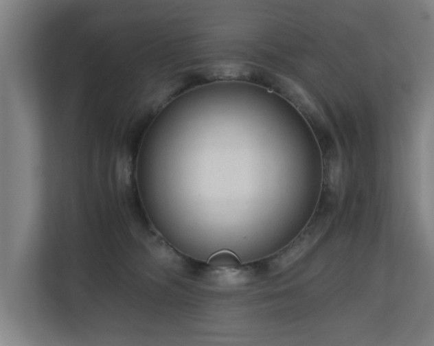 X0000110670326200906191350