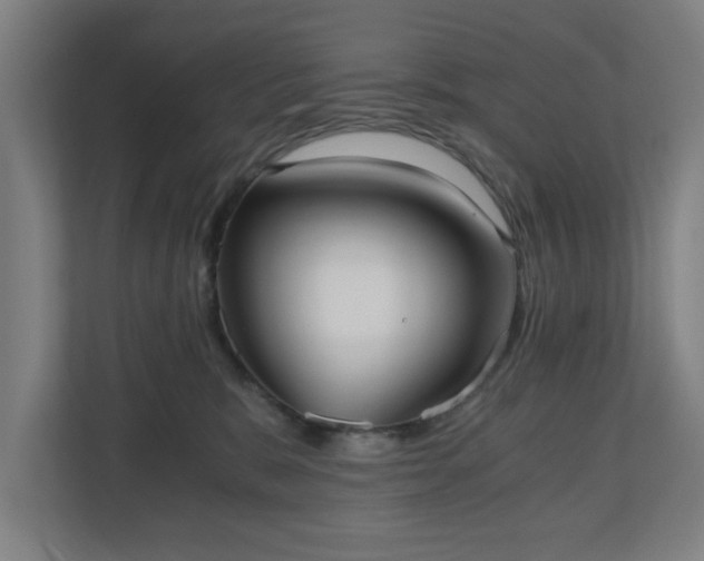 X0000110670327200906191350