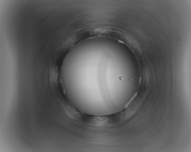 X0000110670328200906191350