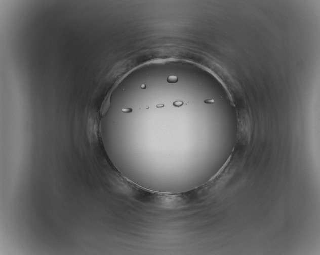 X0000110670333200906191350