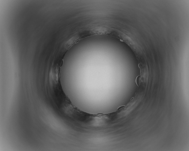 X0000110670334200906191350