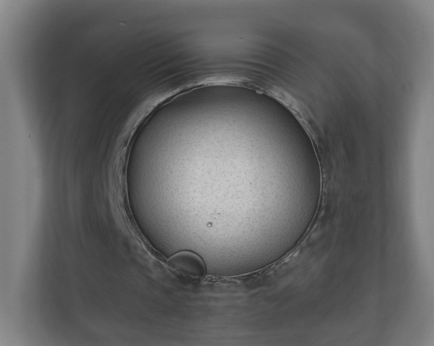X0000110670337200906191349