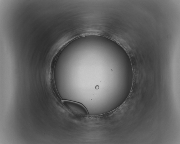 X0000110670338200906191349