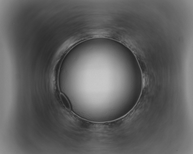 X0000110670339200906191349