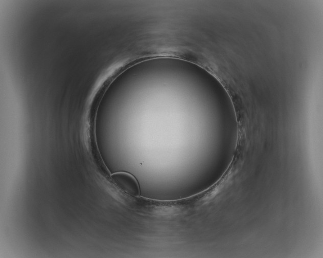 X0000110670342200906191349