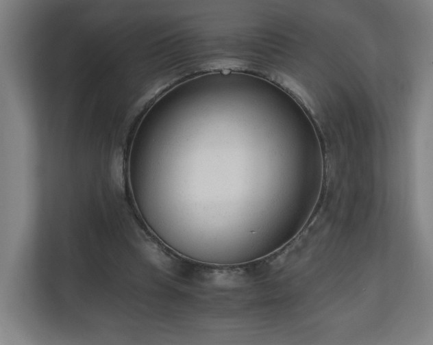 X0000110670345200906191349