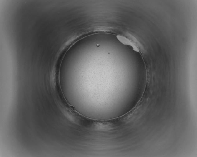 X0000110670346200906191349