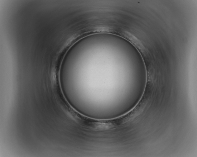 X0000110670347200906191349