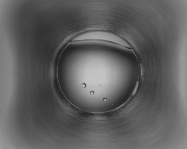 X0000110670348200906191349