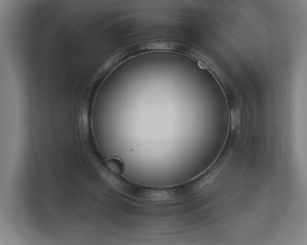 X0000110670349200906191349