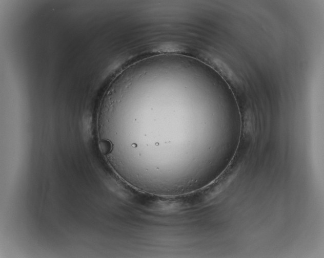 X0000110670351200906191349