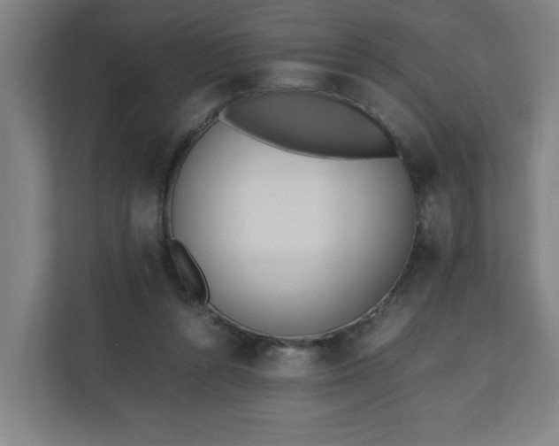 X0000110670352200906191349