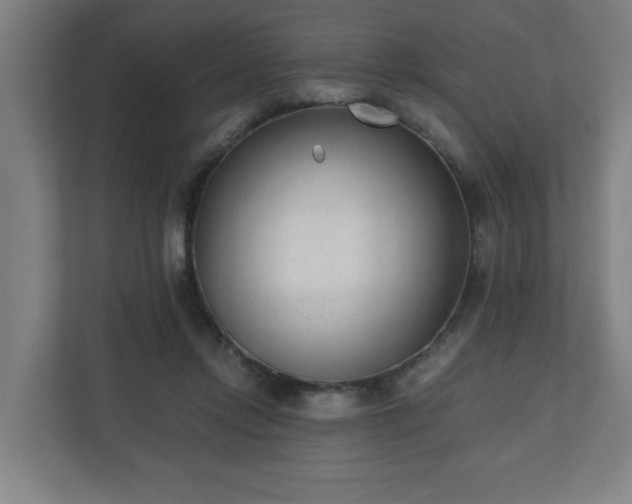 X0000110670358200906191350