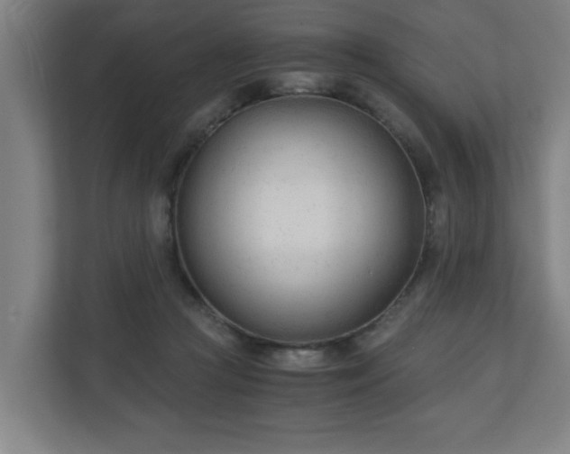 X0000110670361200906191350