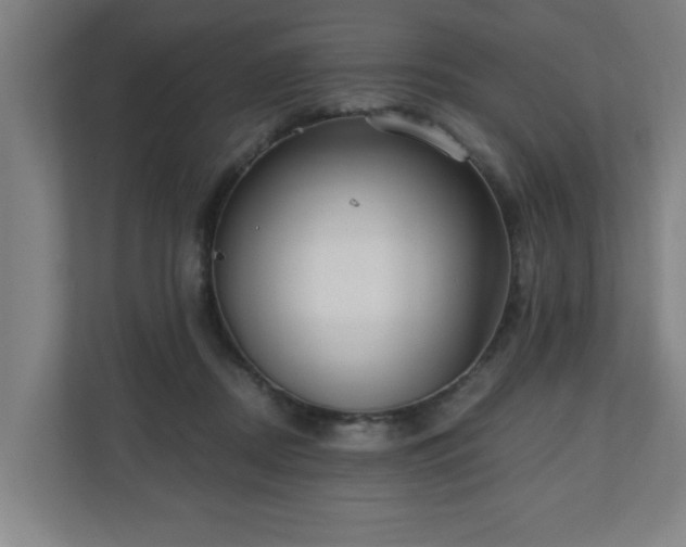 X0000110670362200906191350