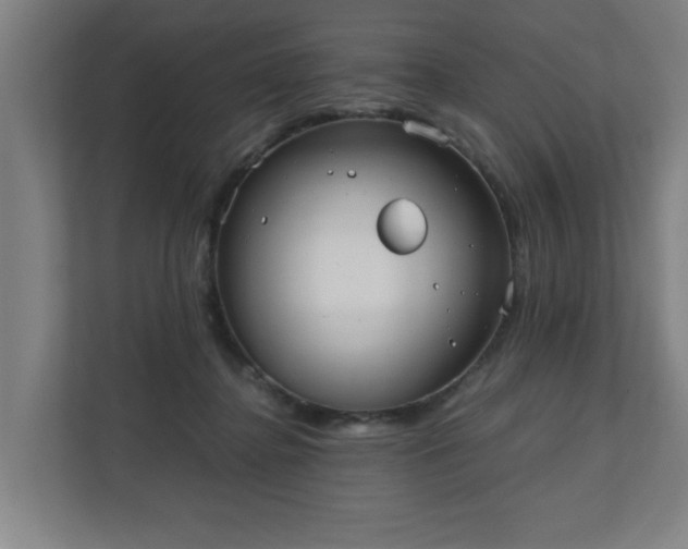 X0000110670364200906191350